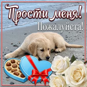 Картинка открытка прости с собачкой