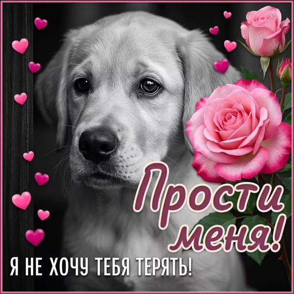 Открытка открытка прости меня пожалуйста