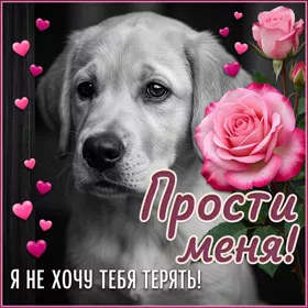 Открытка открытка прости меня пожалуйста
