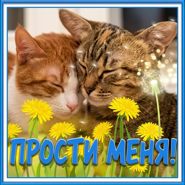 Картинка очаровательная открытка прости