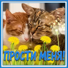 Картинка очаровательная открытка прости