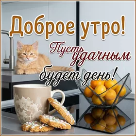 Открытка картинка с добрым утром просыпайся