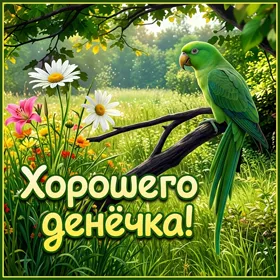 Картинка свежая картинка хорошего дня