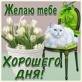 Открытка удачная открытка хорошего дня