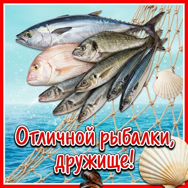Картинка новая открытка другу