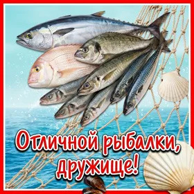 Картинка новая открытка другу