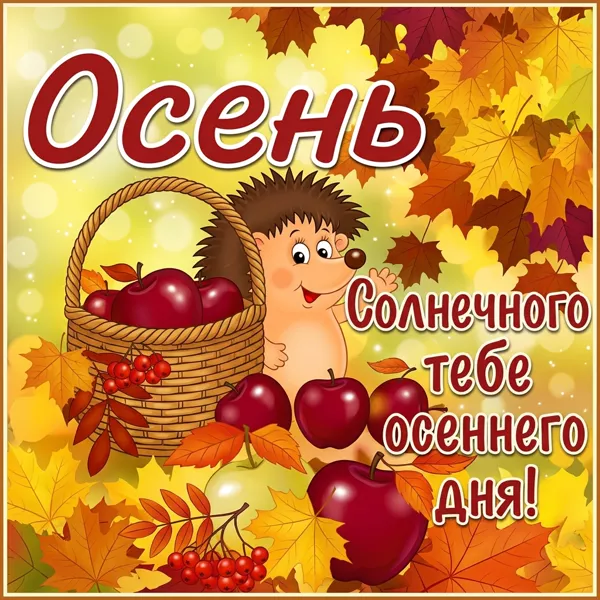 Postcard милая открытка с осенью