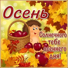 Postcard милая открытка с осенью