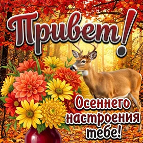 Picture осенняя открытка привет