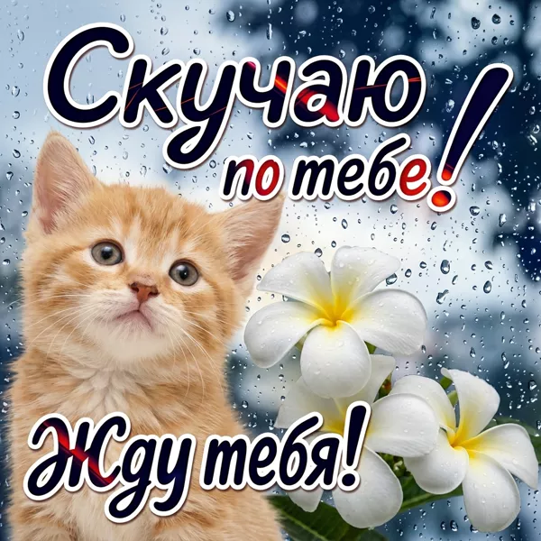Picture удивительная картинка скучаю