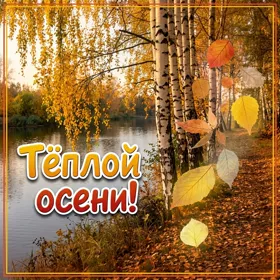 Postcard открытка желаю тёплой осени