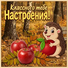 Picture картинка солнечного настроения осенью