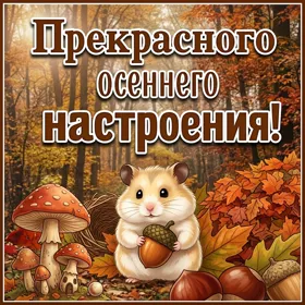 Postcard искренняя открытка хорошего настроения