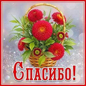 Picture отличная картинка спасибо