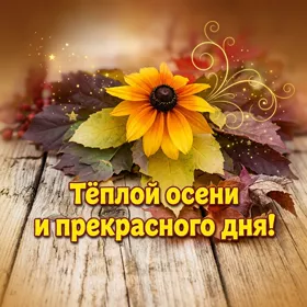 Picture картинка хорошего вам денечка