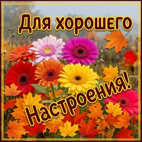 Postcard классная картинка для настроения с осенними цветами