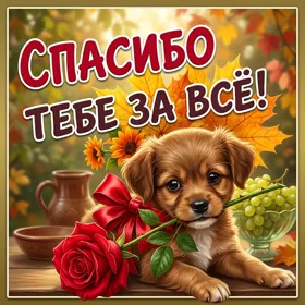 Postcard открытка спасибо с собакой