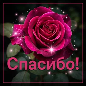 Picture картинка спасибо с розой