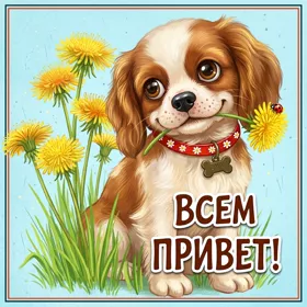 Postcard милая картинка привет с песиком