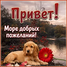 Postcard картинска привет море добрых пожеланий