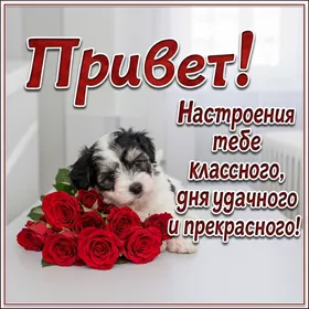 Postcard картинка настроения тебе классного