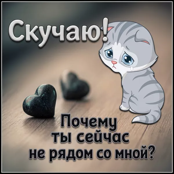 Picture картинка почему ты сейчас не рядом со мной ?