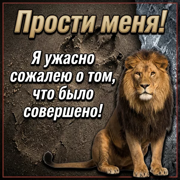 Picture картинка я ужасно сожалею
