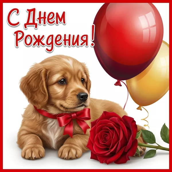Postcard милая картинка с собакой и шариками