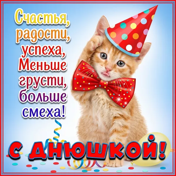 Postcard открытка с днюшкой с котом