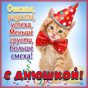 Postcard открытка с днюшкой с котом