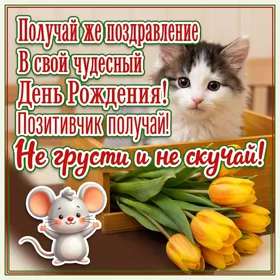Postcard открытка получай же поздравления