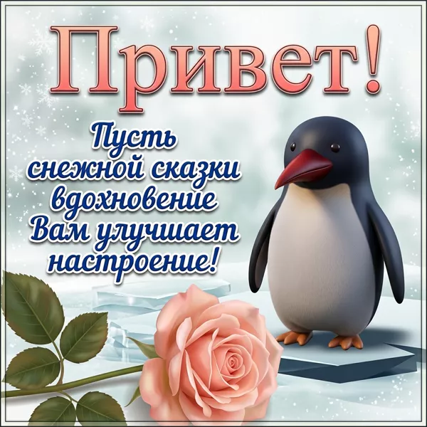 Postcard милая открытка пусть снежной сказки