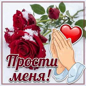 Postcard яркая открытка прости меня с цветами