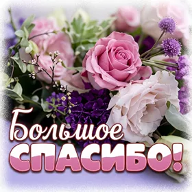 Postcard чудесная отрытка большое спасибо