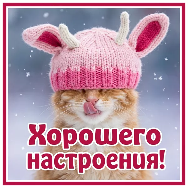 Picture смешная открытка хорошего настроения с котиком