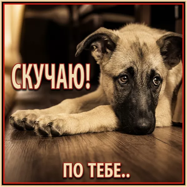 Postcard чудесная картинка очень скучаю по тебе