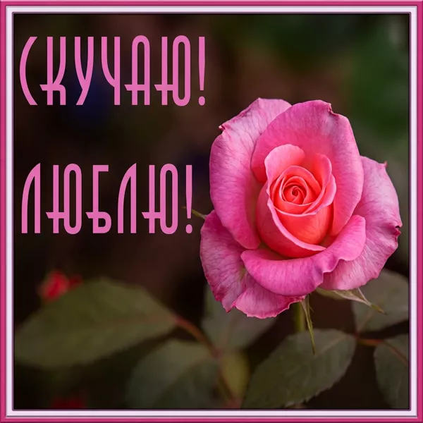Picture чудесная открытка скучаю люблю