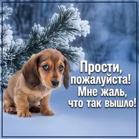 Postcard милая картинка прости пожалуйста