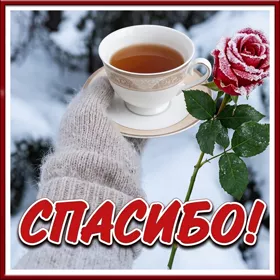 Picture очаровательная картинка спасибо