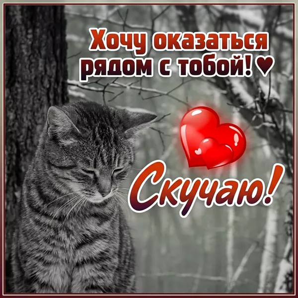 Postcard милая картинка хочу оказаться рядом с тобой