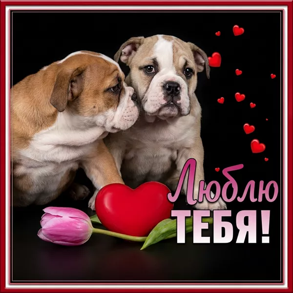 Postcard очаровательная открытка люблю тебя