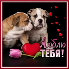 Postcard очаровательная открытка люблю тебя
