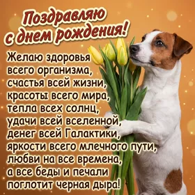 Picture смешная открытка желаю здоровья всего организма