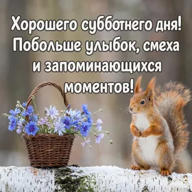 Picture смешная картинка хорошего субботнего дня