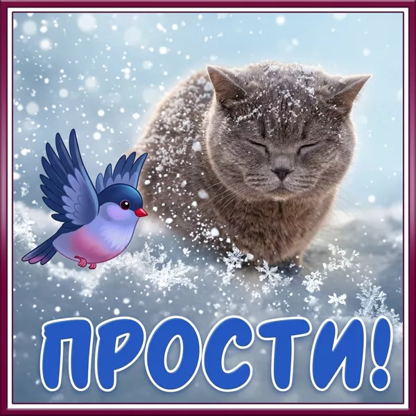 Postcard чудесная открытка прости