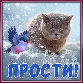 Postcard чудесная открытка прости