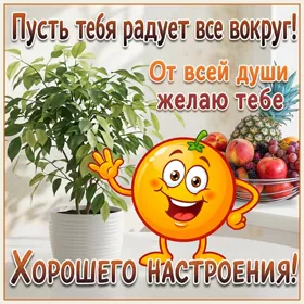 Picture чудесная картинка хорошего настроения
