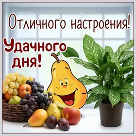 Postcard смешная открытка удачного дня