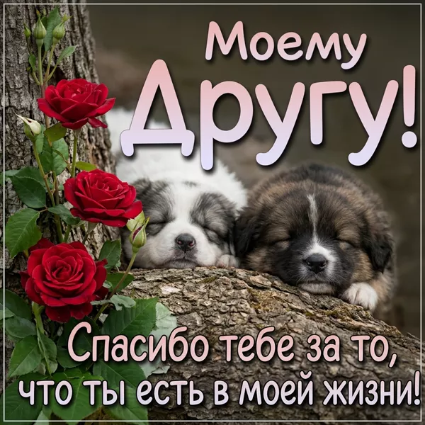 Postcard милая картинка моему другу