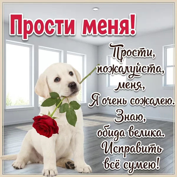 Picture очаровательная открытка прости меня пожалуйста